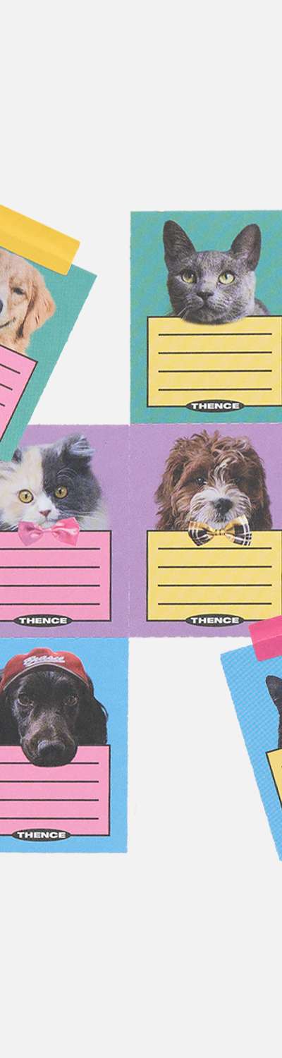 Thence Mini Card Type.A