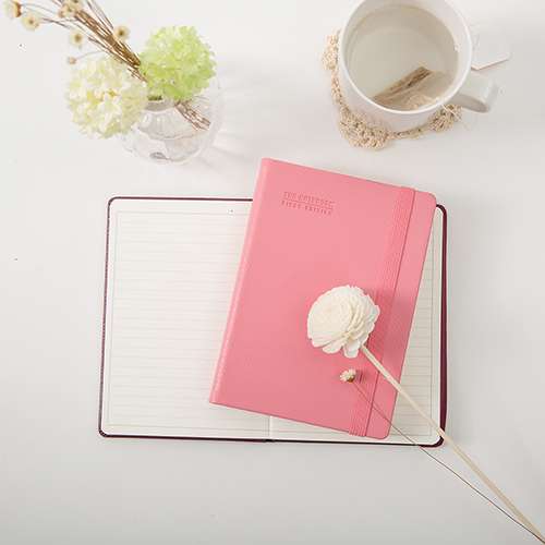 The notebook First edition [A6]