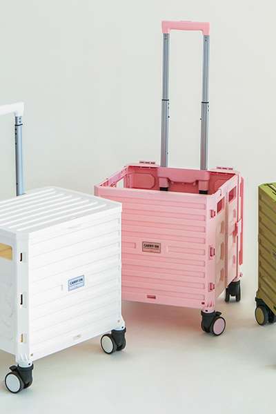 CARRY ON CART