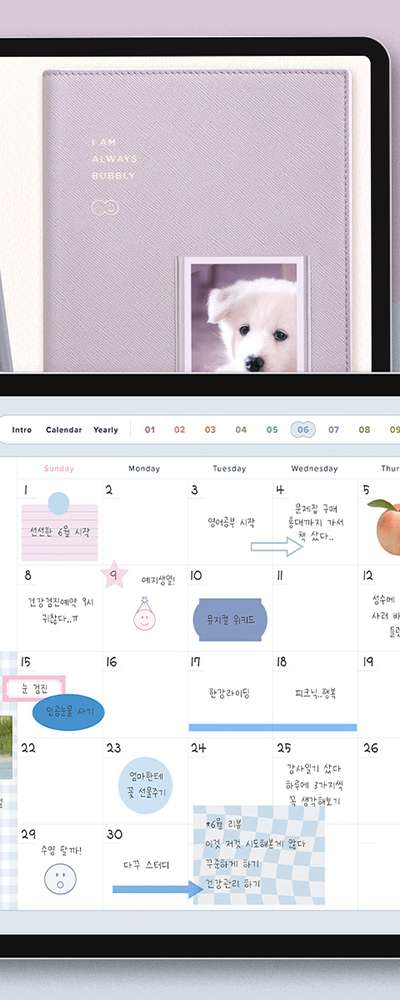 バブリー ダイアリー 万年型 GoodNotes用紙