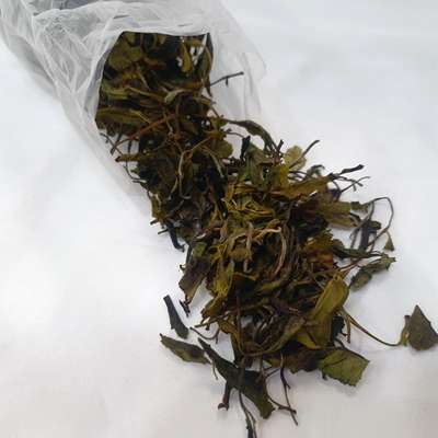 Jotaeyeonga Jukroche White Tea 20g Jirisan Bundled Tea