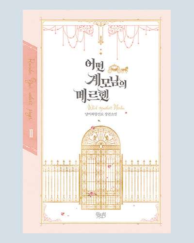 [Novel] A Certain Stepmother's Märchen Vol. 2
