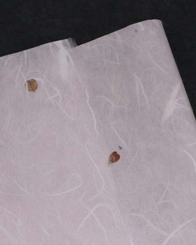 Natural Ssari Leaf Hanji Paper, Chocolate (5 sheets)