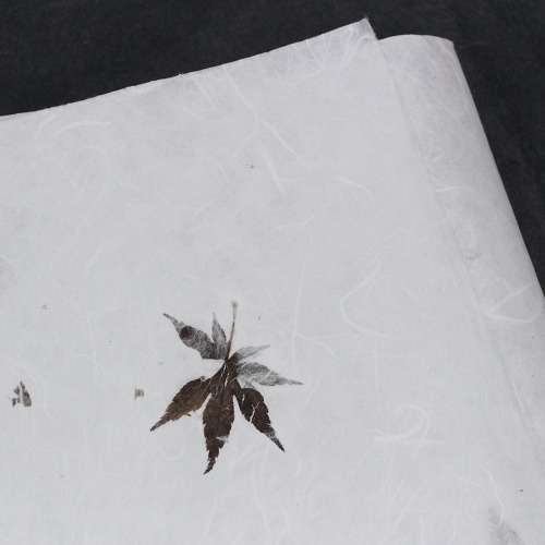 Natural Maple Leaf Mulberry Paper (5 sheets)