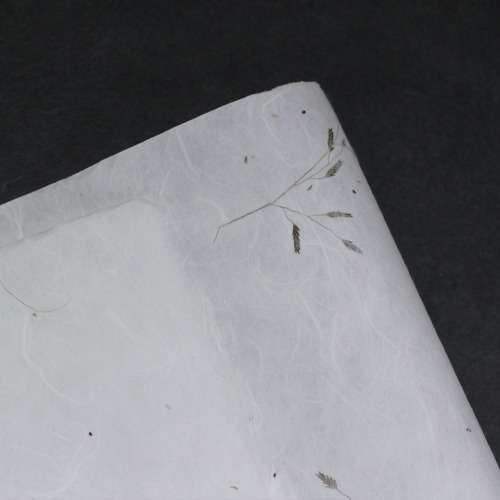 Nature Full Wildflower Craft Paper (5 sheets)
