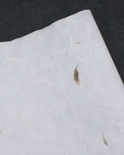 Nature-Filled Reed Flower Korean Paper (5 sheets)