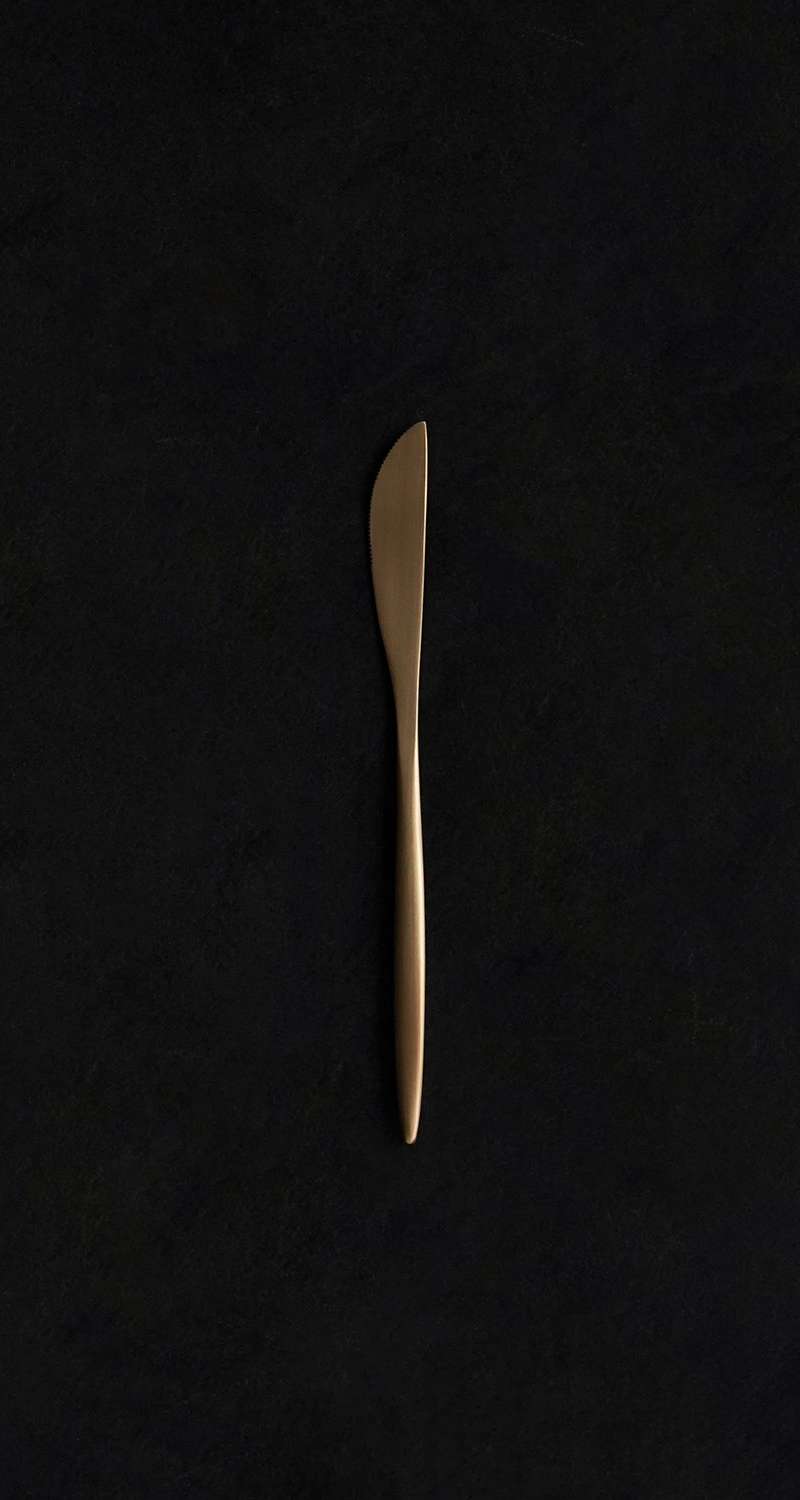 Bandja Yugi Bronze Western Dessert Knife