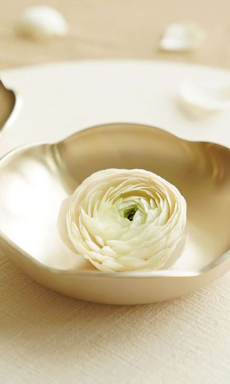 Bangjja Yugi Brass Ware Spring Flower Condiment Dish No. 2 1P