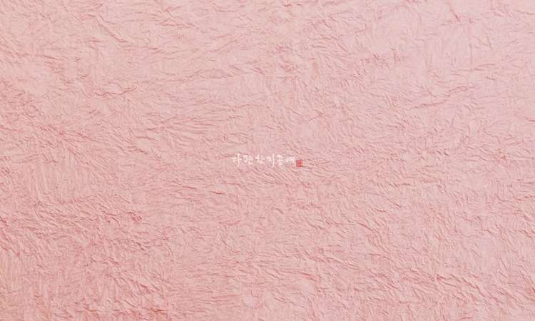 Zoomchi Hanji - Pink