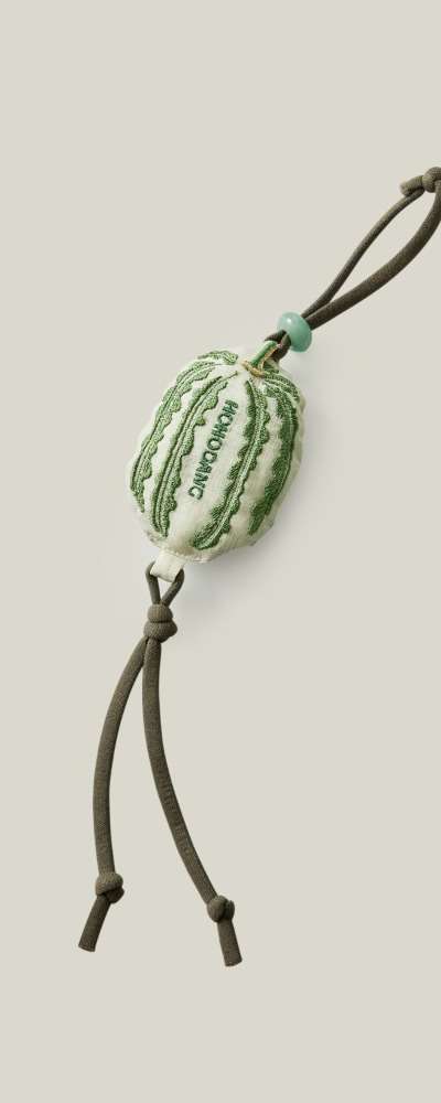 Grass and Insect Painting Watermelon Keyring (Complimentary Message Tag Included)