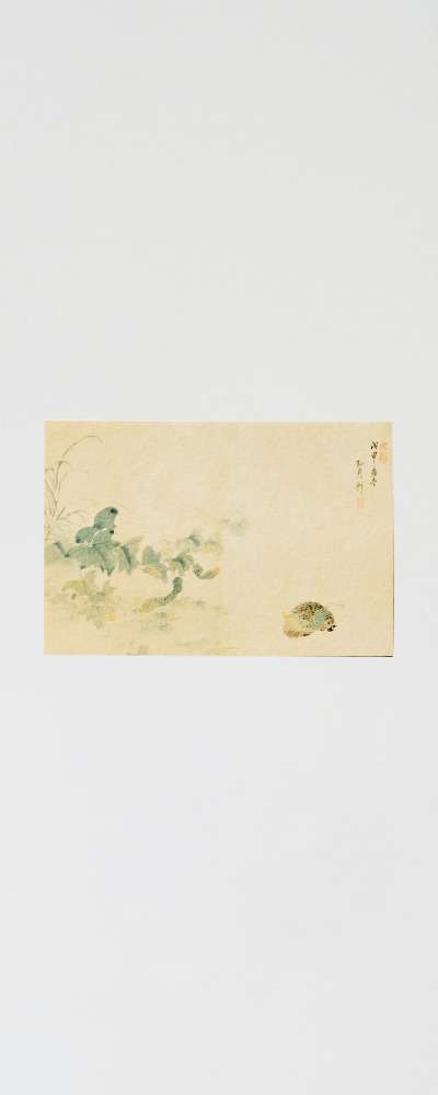 Korean Folk Painting Postcard (Cucumber and Hedgehog)