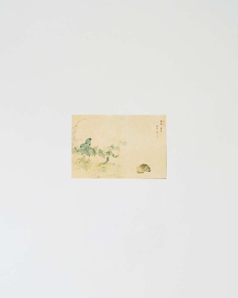 Korean Folk Painting Postcard (Cucumber and Hedgehog)