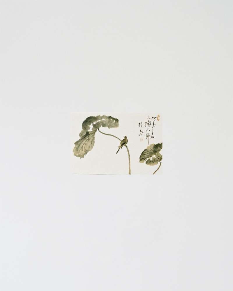 Minhwa Postcard (Lotus Leaf and Bird)