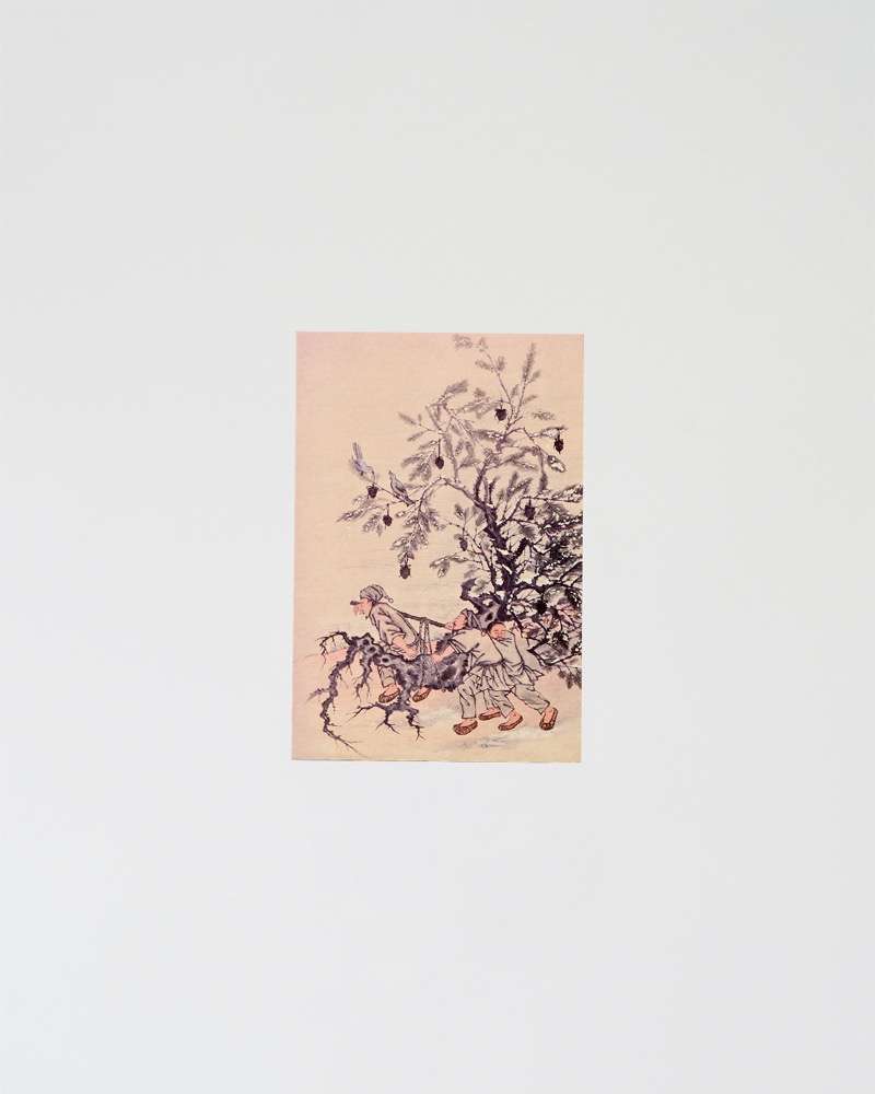 Korean Christmas Card (Welcoming Spring and Transplanting Seedlings)