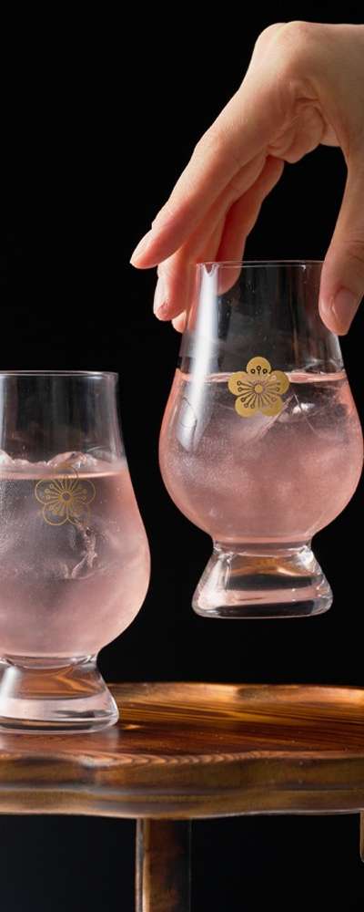 Plum Blossom Whiskey Glass Set (2P)