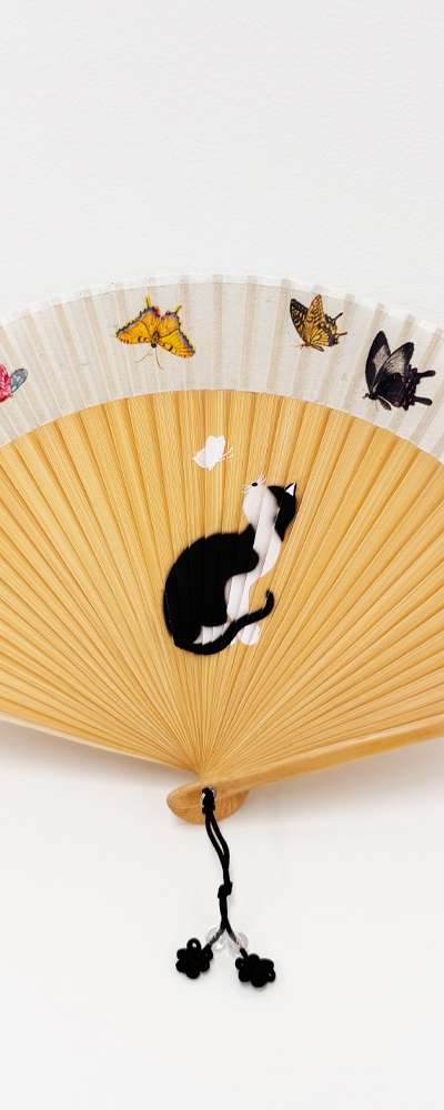 Mysterious Breeze Fan
