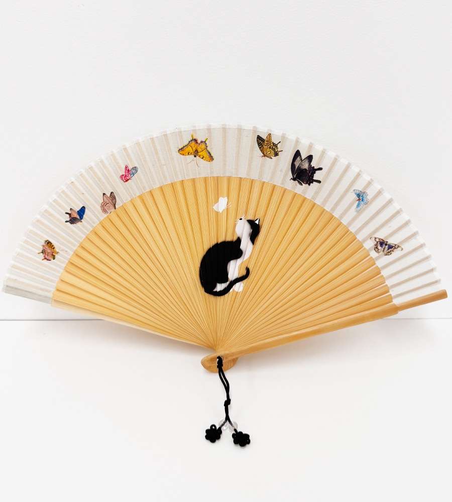Mysterious Breeze Fan
