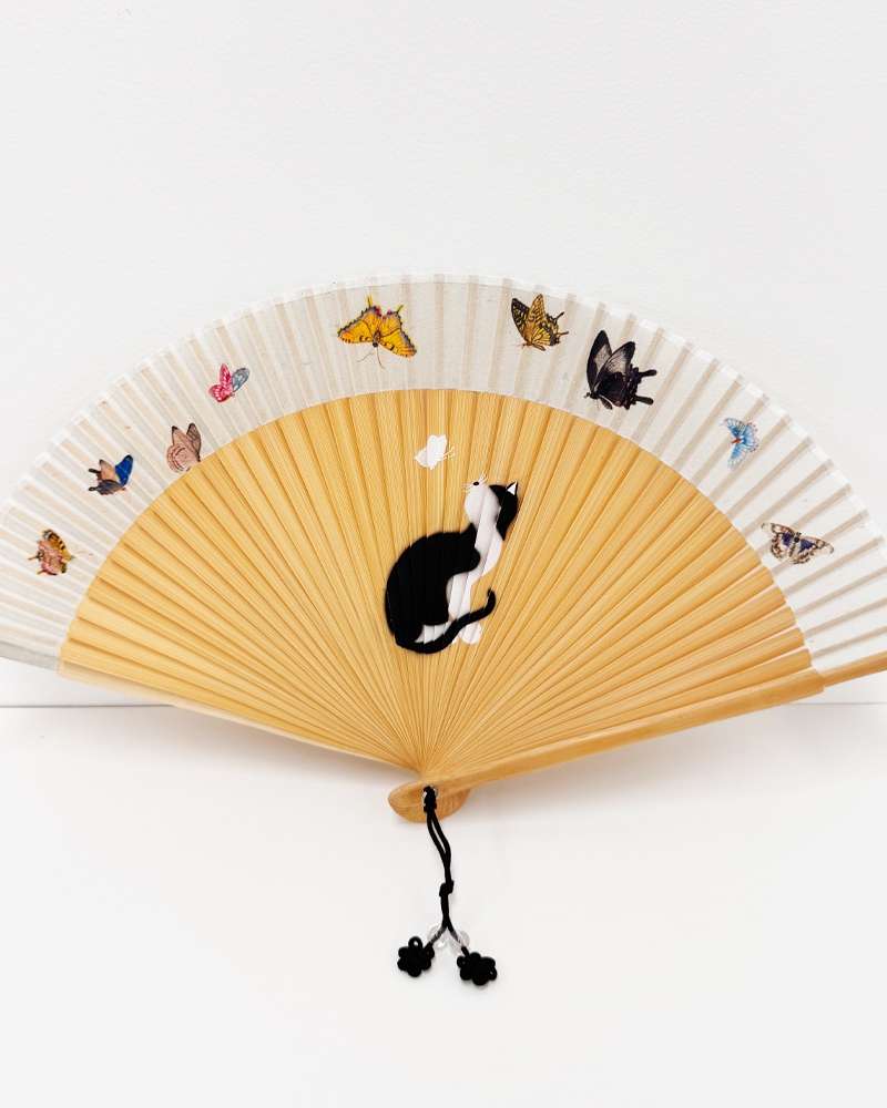 Mysterious Breeze Fan