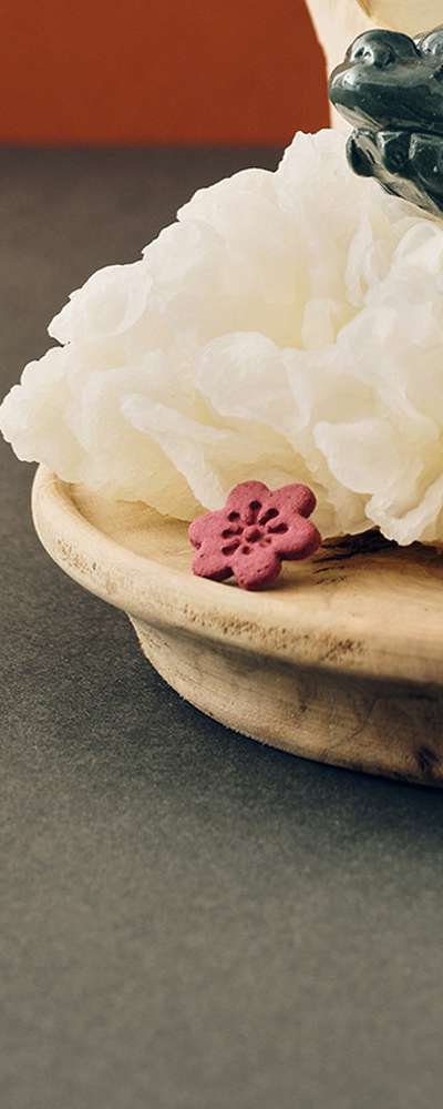 Thousand-Layer Red Plum Blossom Incense Set