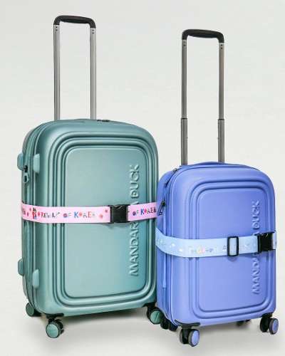 Wings of the World Luggage Belt