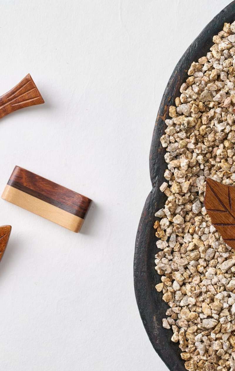 Leaf Coaster