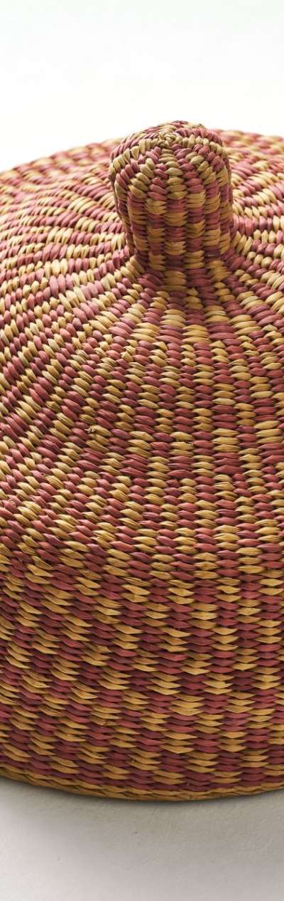 Rattan Food Cover