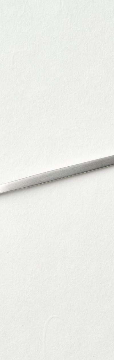 Stainless Steel Dessert Spoon & Fork