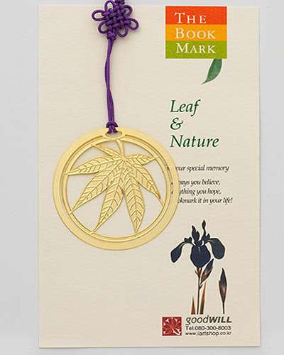Autumn Maple Leaf