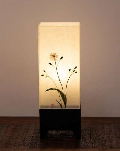 White Goat's Beard Flower Lamp