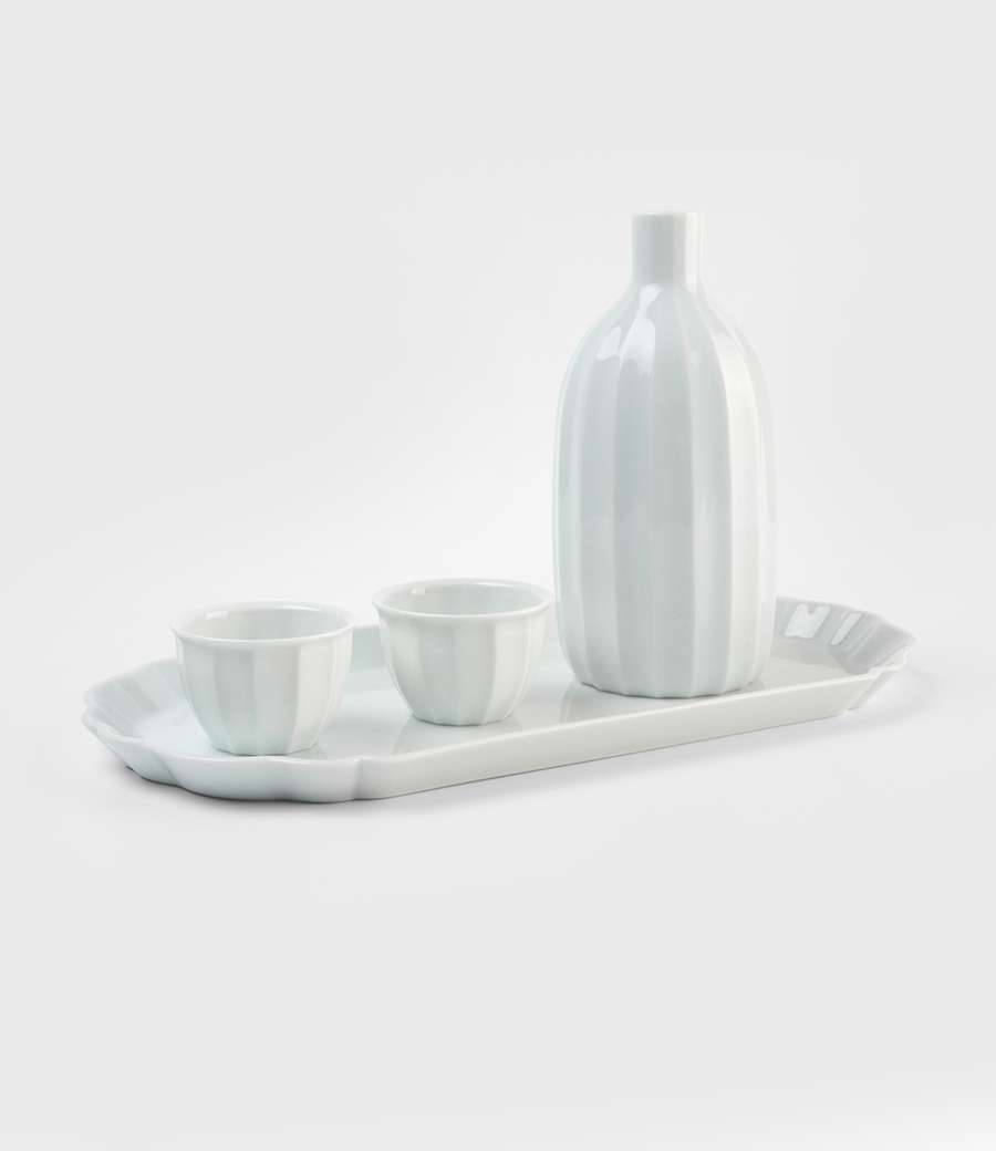 Angular and Curved Bottle Set with Elongated Tray Plate