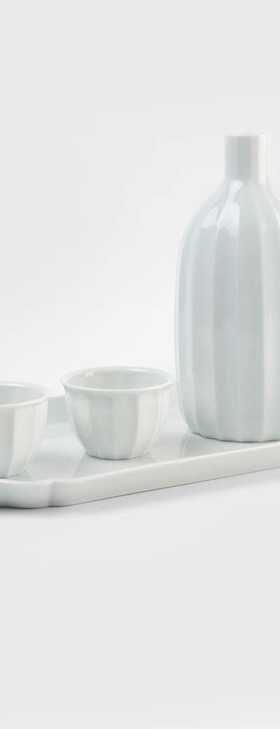 Angular and Curved Bottle Set with Elongated Tray Plate