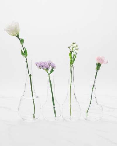 One Bloom Vase (1p)