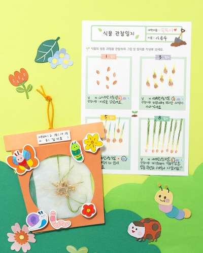 春を作る 根の観察 植物を育てる 昆虫教具 授業 苗 DIY 芽を育てる 観察学習 自然