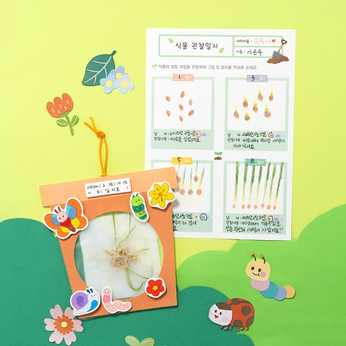 Spring Making Root Observation Plant Growing Insect Educational Tool Seedling DIY Sprout Growing Observation Learning Nature