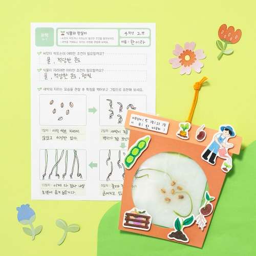 Root Observation Plant Growing Kit - Barley Sprout Seedling Nature Learning Tool Spring DIY Sprout Growing Observation Study Science