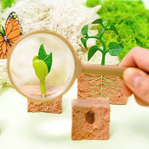 Spring Craft Plant Growth Figure Book Art Package Elementary Crafting Kit