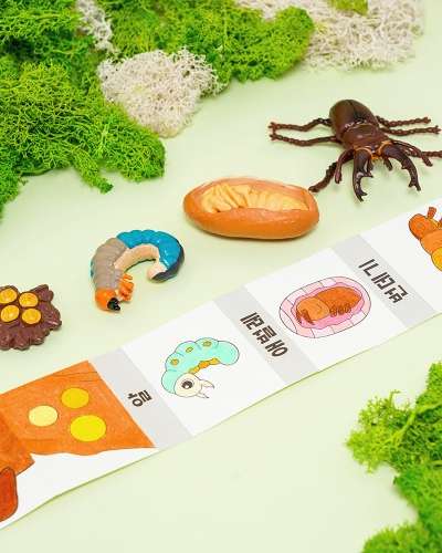 春を作ろう 昆虫成長フィギュア ブックアート教材 家の中で遊ぼう