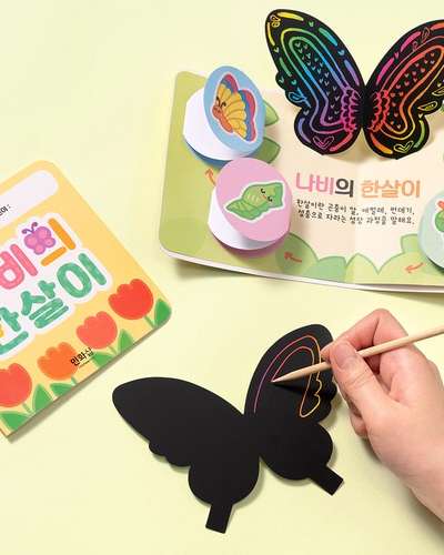 Yul Art Butterfly Life Story Book Making Home Activity Kit Book Art