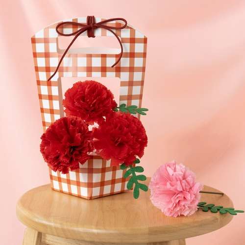 DIY Carnation Gift Carrier - Parents' Day Craft Kit