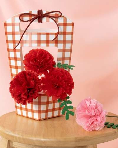 DIY Carnation Gift Carrier - Parents' Day Craft Kit