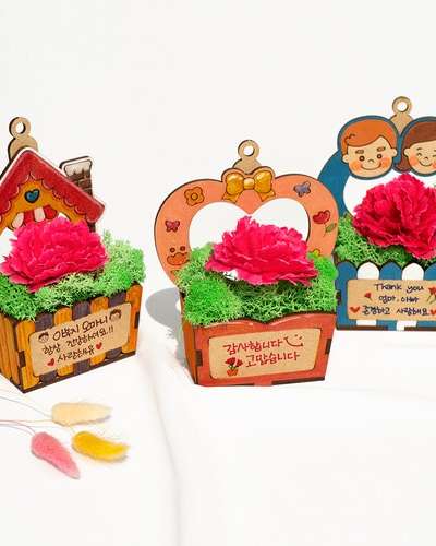 DIY Carnation Air-Purifying Plant Pot Kit - Parents' Day Craft Activity