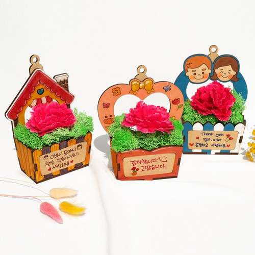 DIY Carnation Air-Purifying Plant Pot Kit - Parents' Day Craft Activity