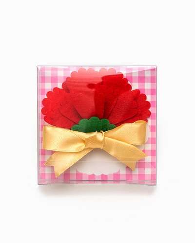 Carnation Brooch DIY Kit for Parents' Day Craft Activity