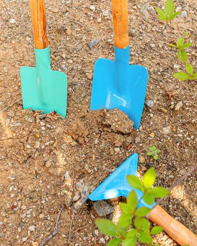 3-Piece Seedling Spade Set - Shell Digging and Weeding Tool