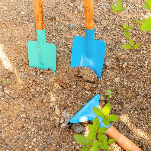 3-Piece Seedling Spade Set - Shell Digging and Weeding Tool