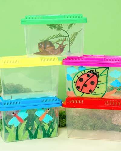 Snail Home Insect Collection Container Snail Care Kit