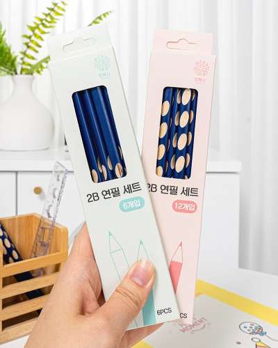 Ambidextrous Posture Correction 2B Pencil Set for Elementary Students