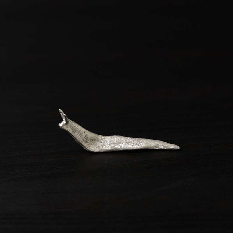 Snail