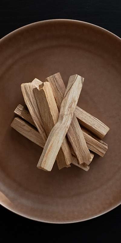 Palo Santo Smudge Stick