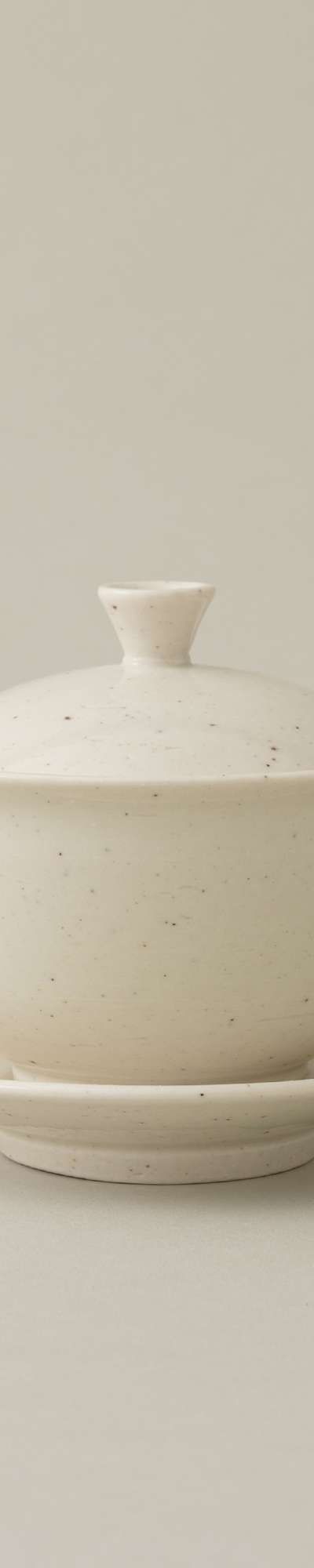 Curved Dog Bowl M